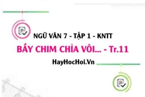Soạn bài Bầy chim chìa vôi trang 11 Ngữ văn lớp 7 Kết nối tri thức tập 1
